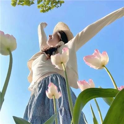 动物狂想曲第二季